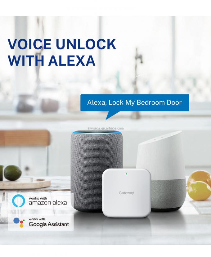 ফিঙ্গারপ্রিন্ট এবং কীপ্যাড সহ Tuya WiFi BLE স্মার্ট ডোর লক 4