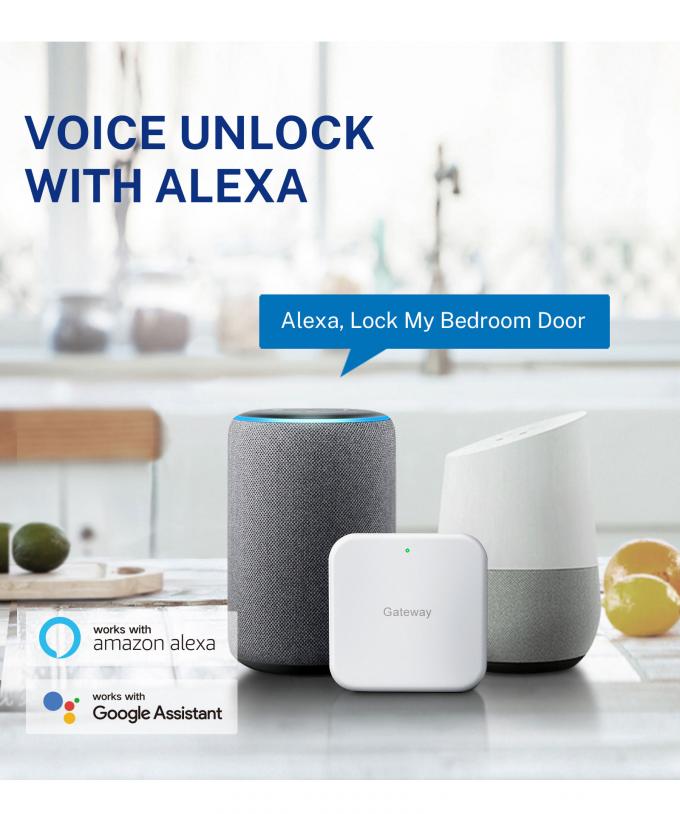 লিলিওয়াইজ নতুন ডিজাইন সম্পূর্ণ স্বয়ংক্রিয় লক ডিজিটাল ইলেকট্রনিক ফিঙ্গারপ্রিন্ট লক Tuya APP TTlock স্মার্ট ডোর লক 24