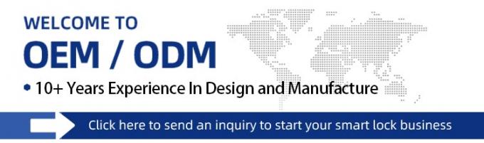 লিলিওয়াইজ স্টেইনলেস স্টীল ওয়াটারপ্রুফ স্মার্ট লক আউটডোর টিউয়া টিটলক ওয়াইফাই কীলেস স্মার্ট ডোর লক এপিআই সহ 12