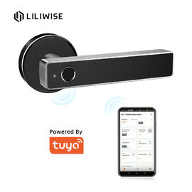 Tuya WiFi App Bluetooth Door Lock Biometric Fingerprint Door Handle Digital Keyless Smart Door Lock