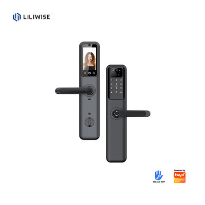 ফিংগারপ্রিন্ট সহ স্মার্ট ডোর লক ওয়াইফাই ব্লুটুথ কাঠের ইস্পাত দরজার জন্য