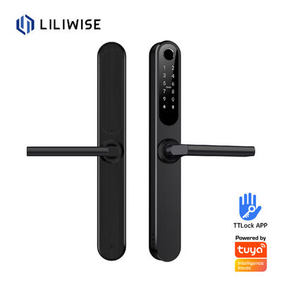 Liliwise ওয়াটারপ্রুফ আলেক্সা অ্যালুমিনিয়াম স্টীল আইপি 66 স্মার্ট ডোর লক ফিঙ্গারপ্রিন্ট সের্রাডুরা ইলেকট্রোনিকা টিটলক স্মার্ট লক ওয়াইফাই সহ
